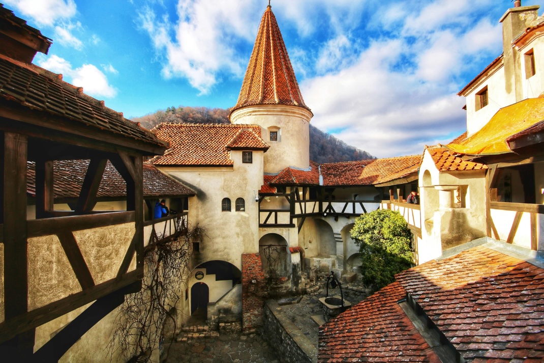 Image 12